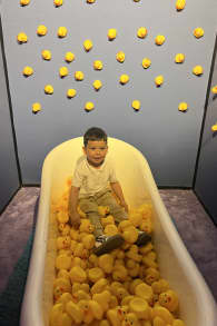 Photo 5 from Bubble Planet: An Immersive Experience in Dallas