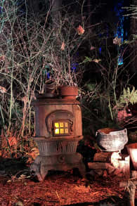 Photo 3 from Harry Potter™: A Forbidden Forest Experience