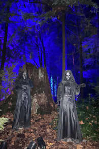 Photo 4 from Harry Potter™: A Forbidden Forest Experience