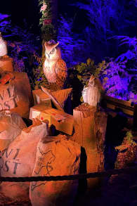Photo 9 from Harry Potter™: A Forbidden Forest Experience