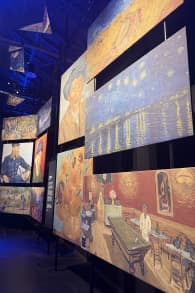 Photo 10 from VINCENT - Zwischen Wahn und Wunder