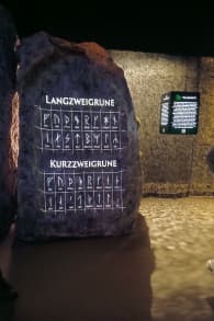 Photo 1 from Vikings - Entdecker und Eroberer - Ein immersives Erlebnis - Weltpremiere in Hamburg