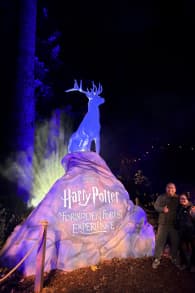 Photo 12 from Harry Potter™: A Forbidden Forest Experience