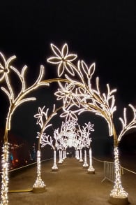 Photo 0 from Imperial Lights