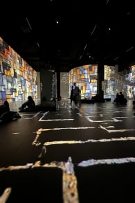 Photo 6 from “From Vermeer to Van Gogh - The Dutch Masters” at Port des Lumières