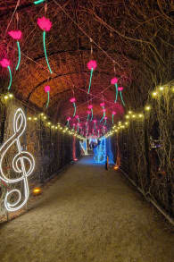 Photo 2 from Imperial Lights