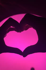 Photo 2 from Light Cycles : Un parcours nocturne scintillant entre nature, lumière et sons