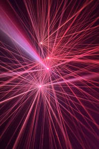 Photo 3 from Light Cycles : Un parcours nocturne scintillant entre nature, lumière et sons