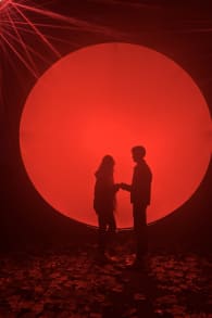 Photo 4 from Light Cycles : Un parcours nocturne scintillant entre nature, lumière et sons