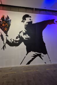 Photo 5 from The Art of Banksy “Without Limits” Chapter Two – Celebrating 10 years of Defiance