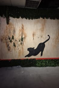 Photo 11 from The Art of Banksy “Without Limits” Chapter Two – Celebrating 10 years of Defiance