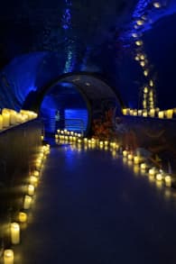 Photo 3 from Candlelight: Best of Magical Movie Soundtracks