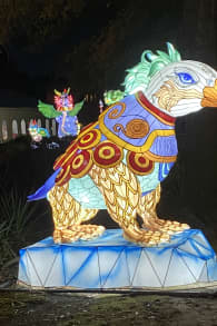 Photo 0 from Winter Lantern Festival (Williamsburg, VA)