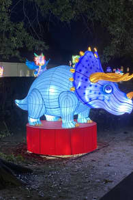 Photo 1 from Winter Lantern Festival (Williamsburg, VA)