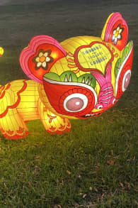 Photo 2 from Winter Lantern Festival (Williamsburg, VA)