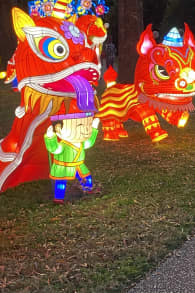 Photo 3 from Winter Lantern Festival (Williamsburg, VA)