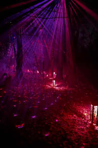 Photo 1 from Astra Lumina: An Enchanted Night Walk Amongst the Stars