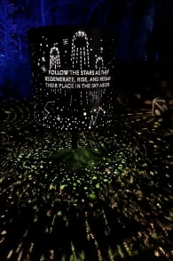 Photo 2 from Astra Lumina: An Enchanted Night Walk Amongst the Stars