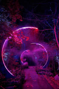 Photo 3 from Astra Lumina: An Enchanted Night Walk Amongst the Stars