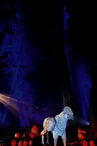 Photo 14 from Harry Potter™: A Forbidden Forest Experience