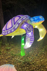 Photo 4 from Winter Lantern Festival (Williamsburg, VA)