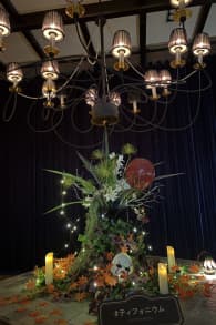 Photo 0 from TYFFONIUM 新宿:タロットVR アルカナ・ジャーニー