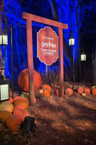 Photo 13 from Harry Potter™: A Forbidden Forest Experience