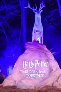 Photo 14 from Harry Potter™: A Forbidden Forest Experience