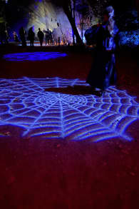 Photo 12 from Harry Potter™: A Forbidden Forest Experience