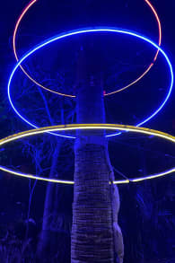 Photo 0 from Lightscape en el Jardín Botánico de San Diego