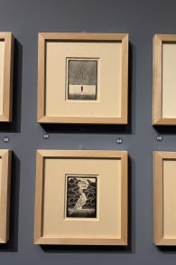 Photo 4 from M.C. Escher - Exposition