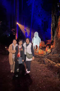 Photo 18 from Harry Potter™: A Forbidden Forest Experience