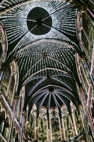 Photo 9 from Genesis, l'histoire de la Création en un spectacle lumineux et immersif à Toulouse