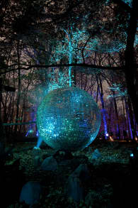 Photo 5 from Astra Lumina: An Enchanted Night Walk Amongst the Stars