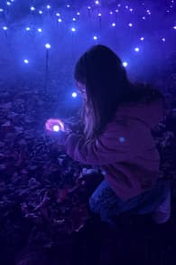 Photo 4 from Astra Lumina: An Enchanted Night Walk Amongst the Stars