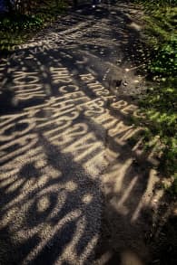 Photo 6 from Astra Lumina: An Enchanted Night Walk Amongst the Stars