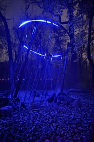 Photo 7 from Astra Lumina: An Enchanted Night Walk Amongst the Stars