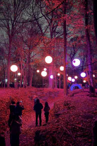 Photo 8 from Astra Lumina: An Enchanted Night Walk Amongst the Stars