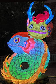 Photo 6 from Winter Lantern Festival (Williamsburg, VA)
