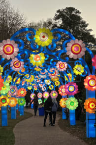 Photo 7 from Winter Lantern Festival (Williamsburg, VA)