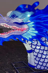 Photo 8 from Winter Lantern Festival (Williamsburg, VA)