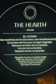 Photo 7 from Light Cycles: ¡Una experiencia inmersiva nocturna entre luces y sonidos de la naturaleza!