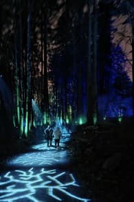 Photo 19 from Harry Potter™: A Forbidden Forest Experience