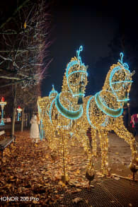 Photo 4 from Imperial Lights