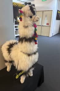 Photo 2 from Machu Picchu: Journey to the Lost City