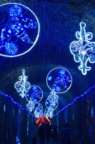 Photo 5 from Imperial Lights