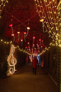 Photo 6 from Imperial Lights