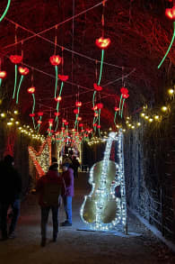 Photo 7 from Imperial Lights