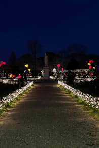 Photo 8 from Imperial Lights