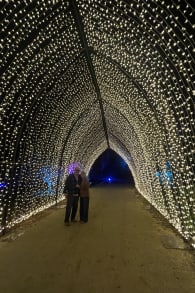 Photo 1 from Lightscape en el Jardín Botánico de San Diego